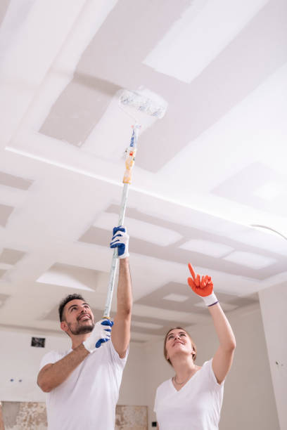 Best Ceiling Drywall Installation  in Batesville, AR